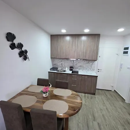 Kostic 3 Apartment *